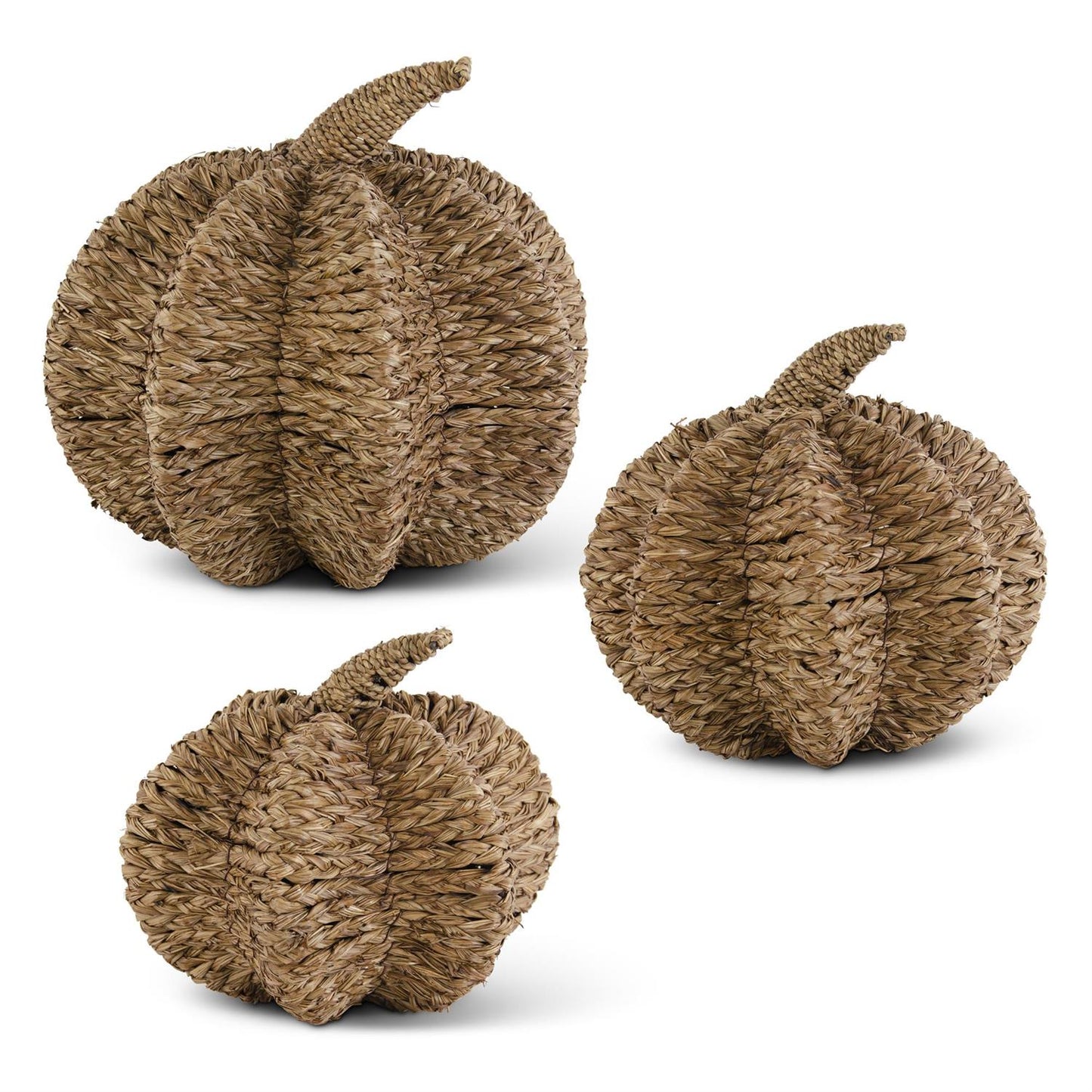 Brown Papyrus Reed Pumpkins S/3