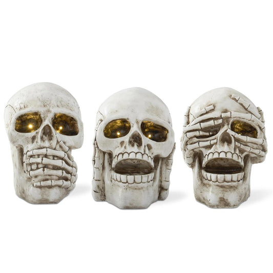 Skulls Set of 3