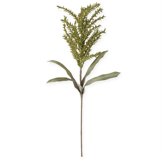 Green Seed Berry Eva Stem