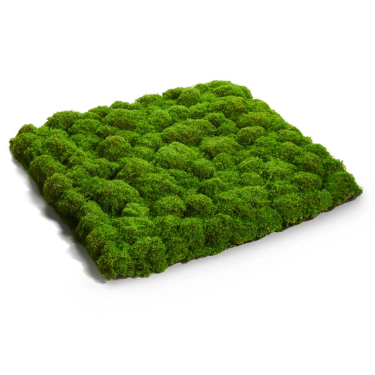 Moss Matt