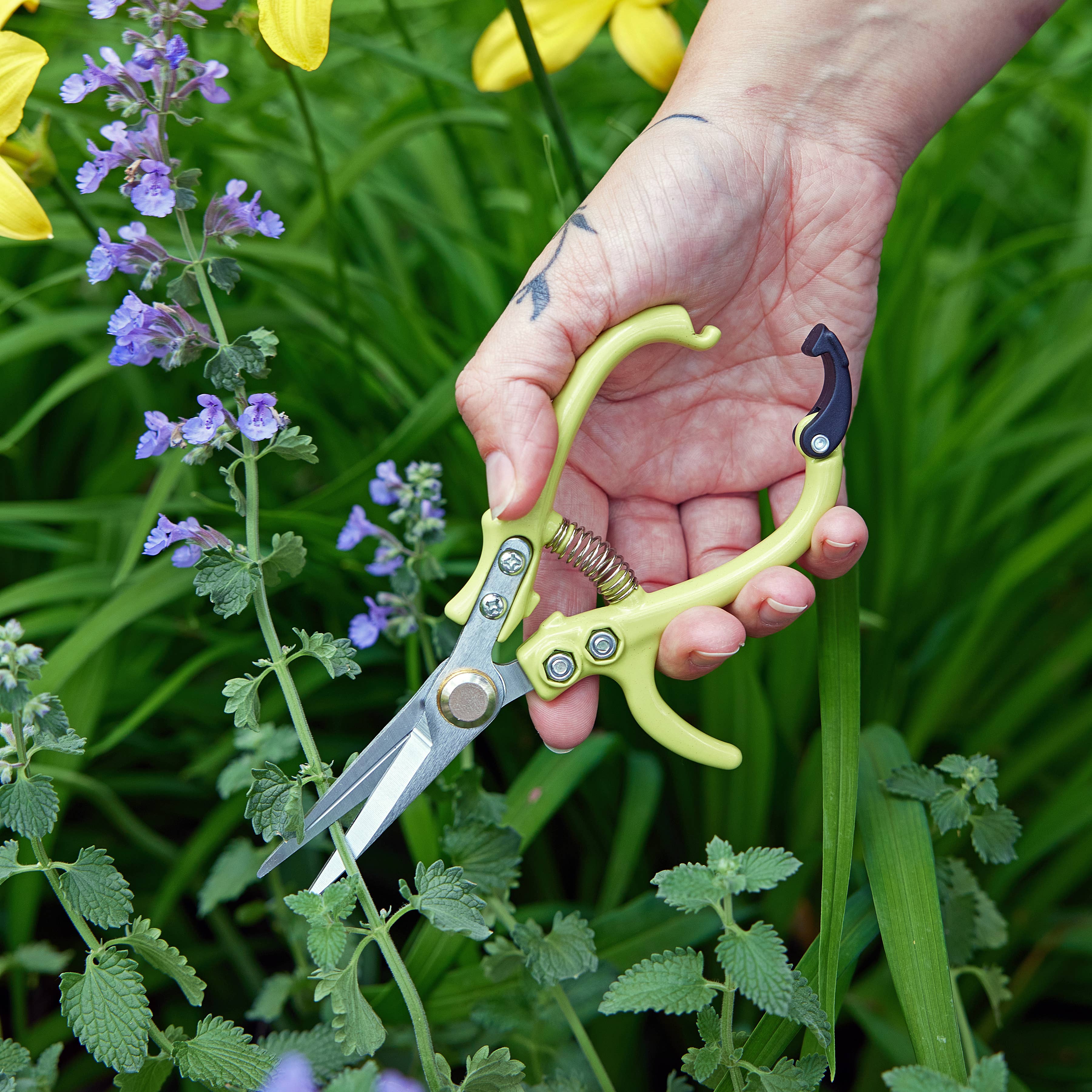 Garden – Singletary's Flowers and Gifts