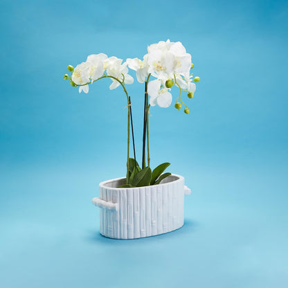 Faux Bamboo Oval Centerpiece/Container