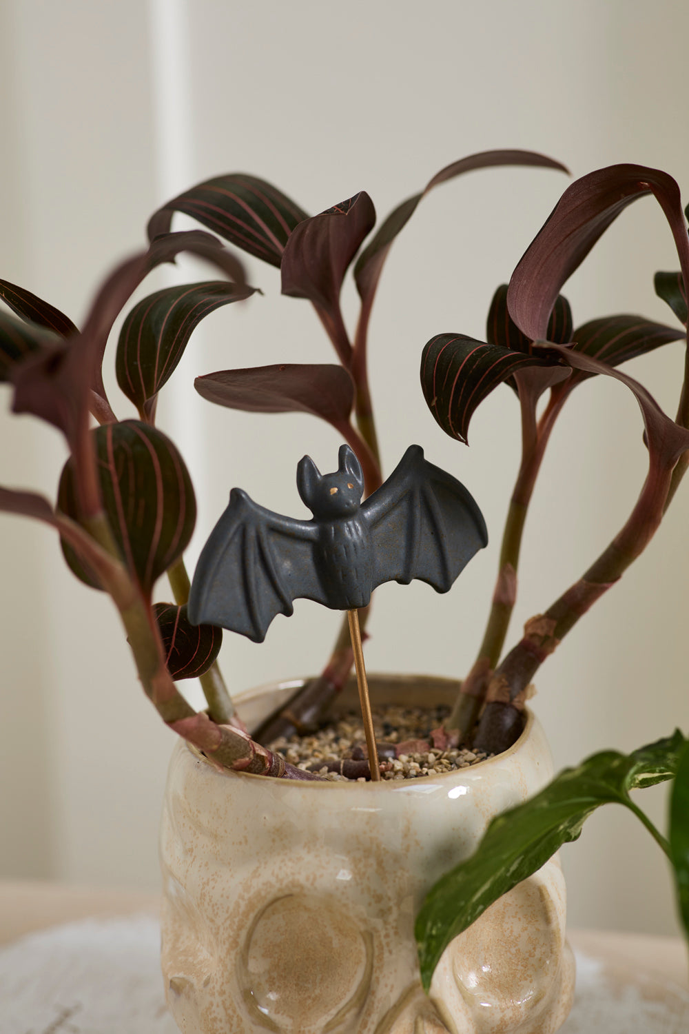Small Spooks Plant Stick
