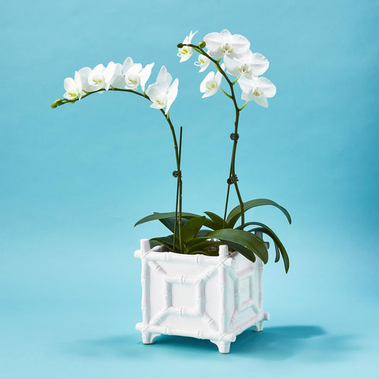 Faux Bamboo Cachepot