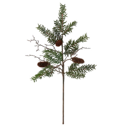 Pine Stem with Pinecones
