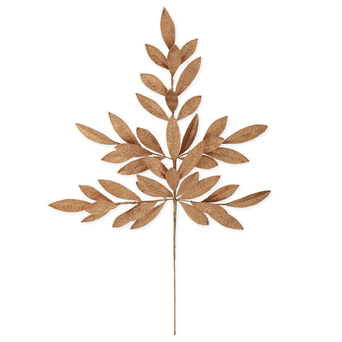 Gold Magnolia Leaf Stem