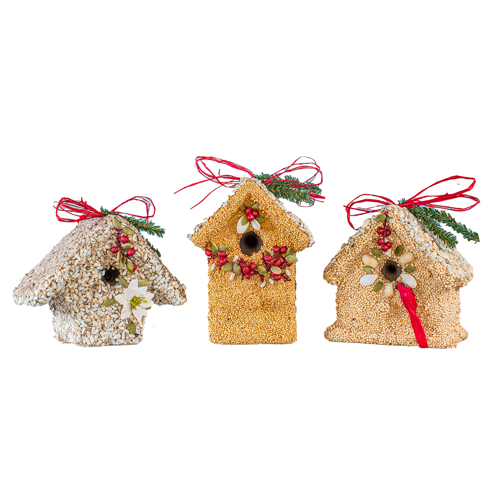 Poinsettia Cottage
