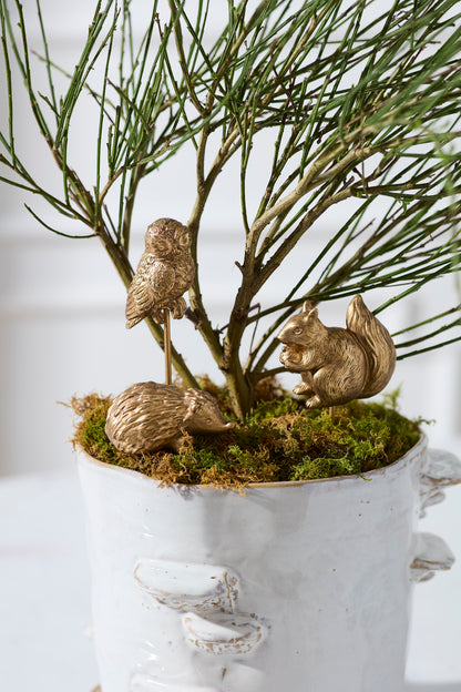 Scurry Plant Stick
