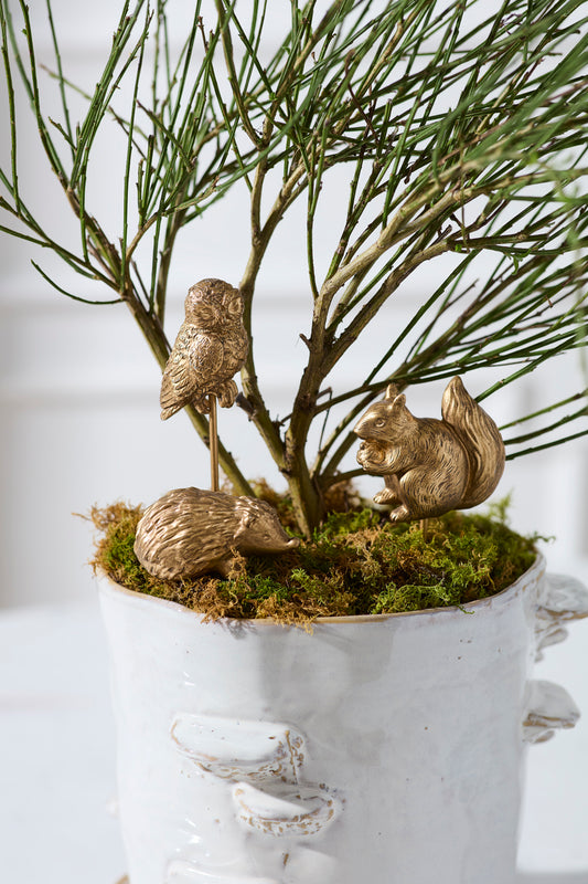 Scurry Plant Stick