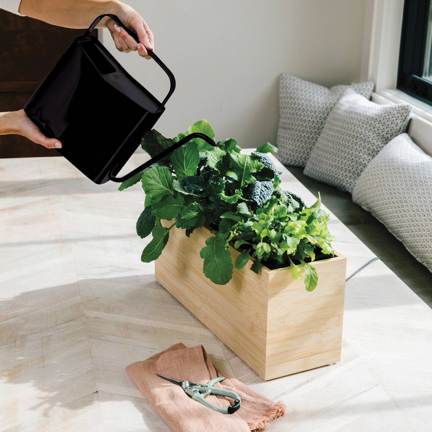 Modern Watering Can