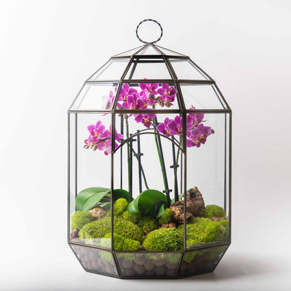 Solarium Glass Terrarium