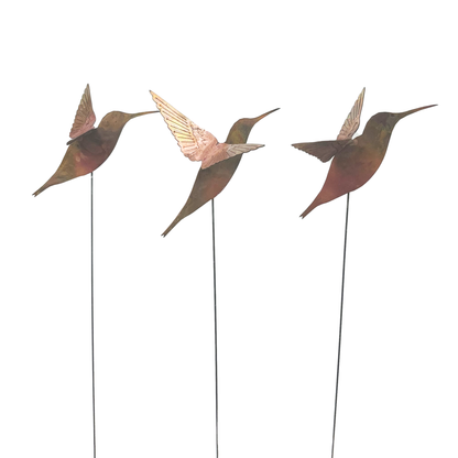 Natural Copper Hummingbird