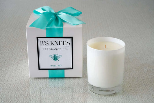 Ocean Air 1-Wick Candle