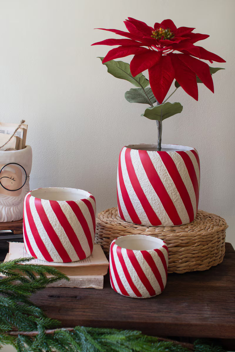 Concrete Candy Cane Planter- Meduim