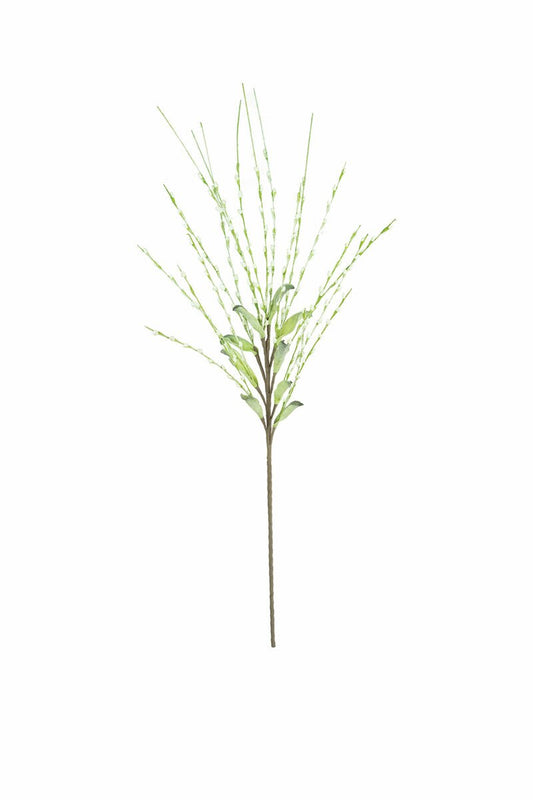 White Spring Blossom