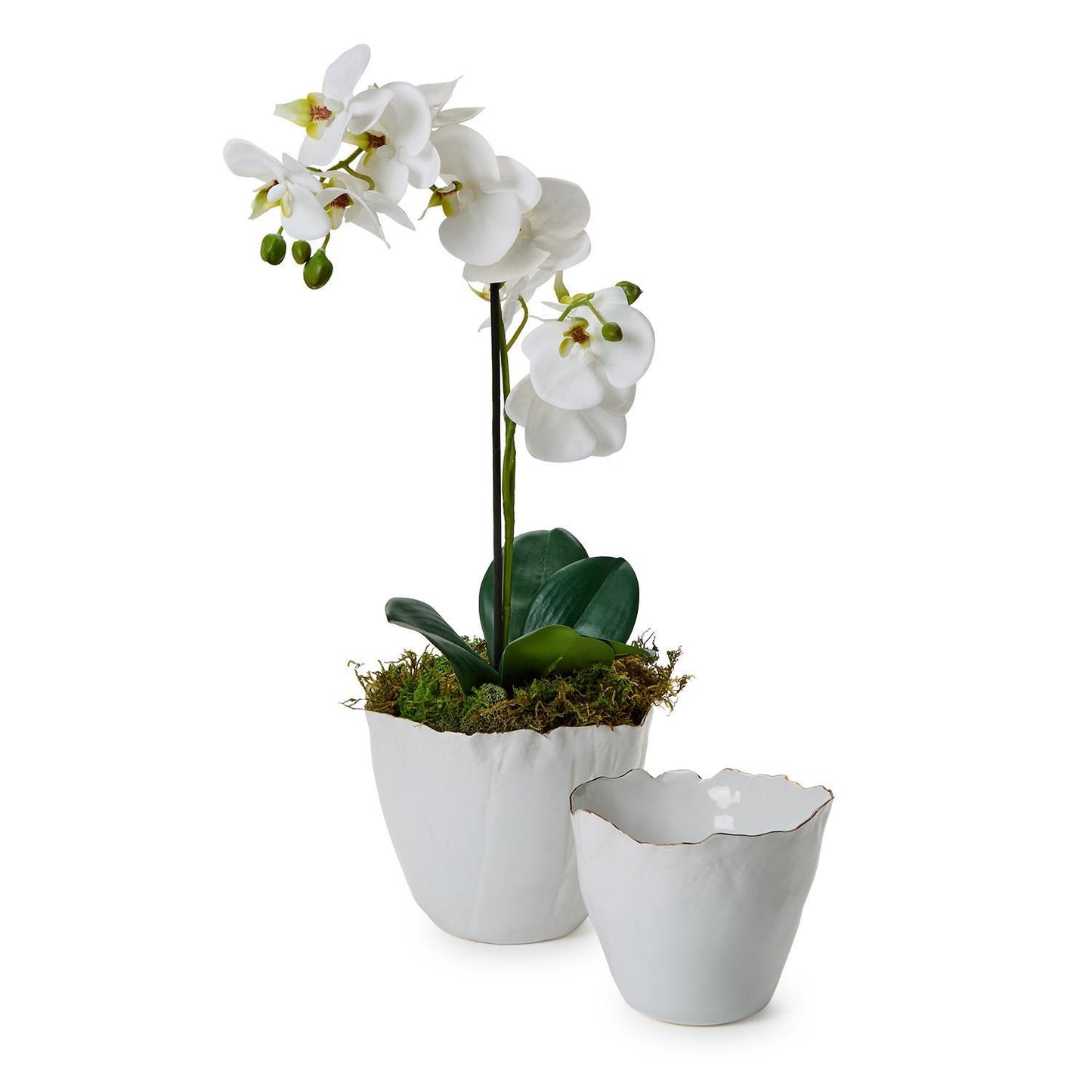 White Free Form Planter