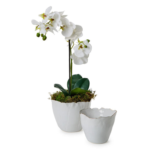 White Free Form Planter