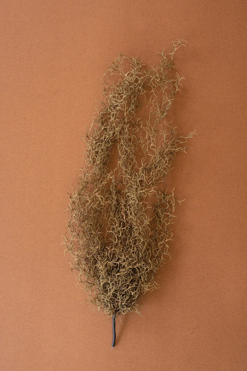 Artificial Grey Moss