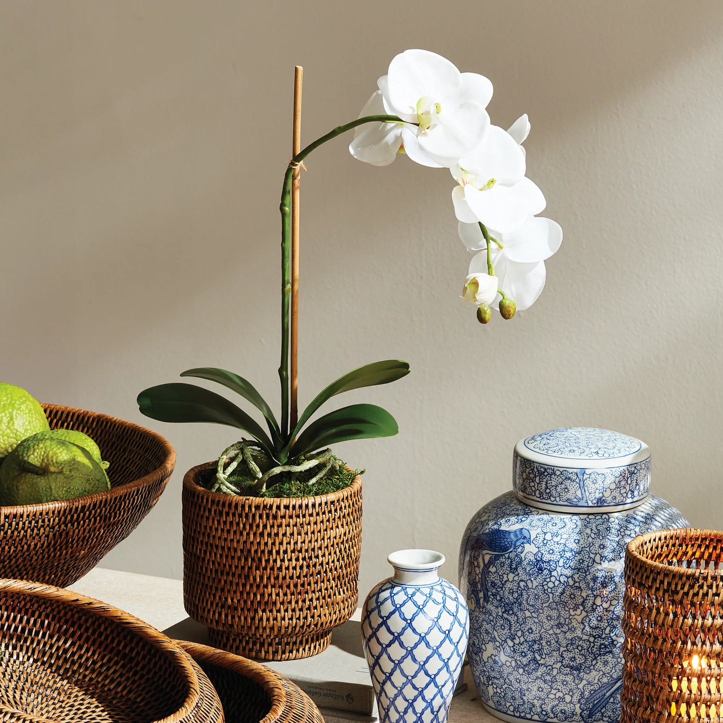15" Phalaenopsis Drop-In
