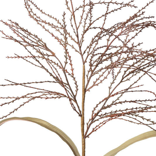 Fall Wild Millet Grass
