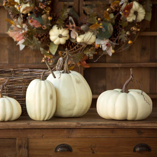Full Moon Pumpkin Collection S/5