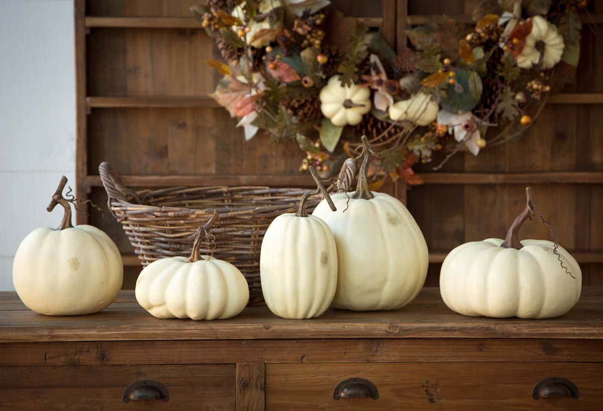 Full Moon Pumpkin Collection S/5