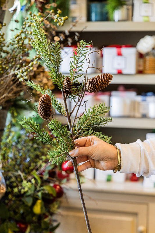 Pine Stem with Pinecones