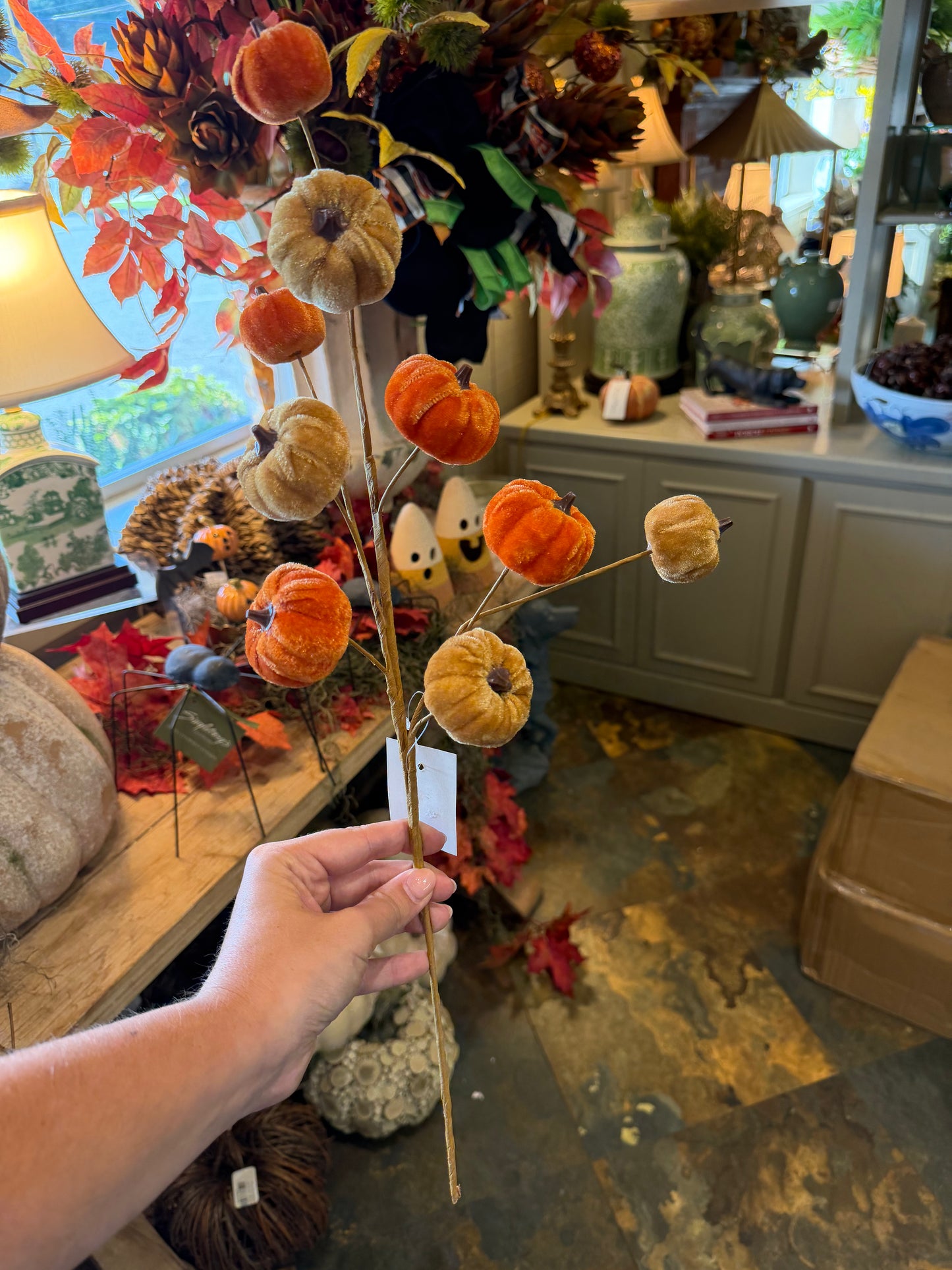 Velvet Pumpkin Stem