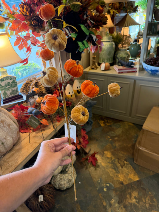 Velvet Pumpkin Stem
