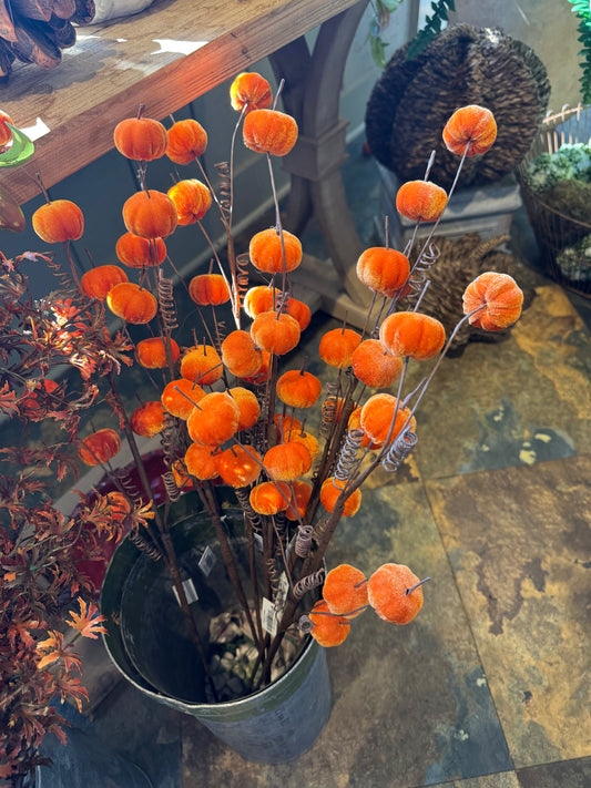Velvet Pumpkin Stem