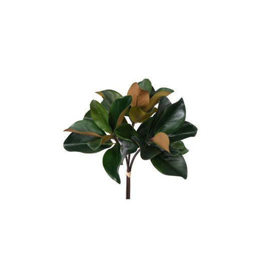 Charleston Magnolia Bundle