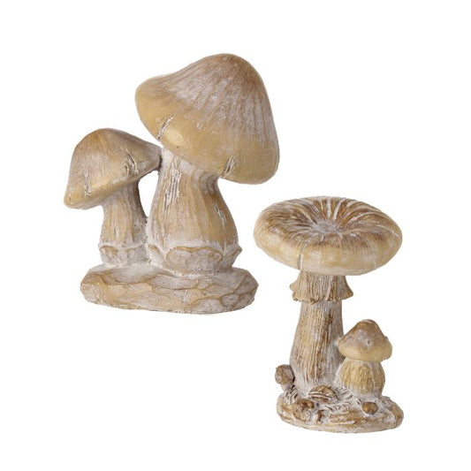 Woodland Mushroom
