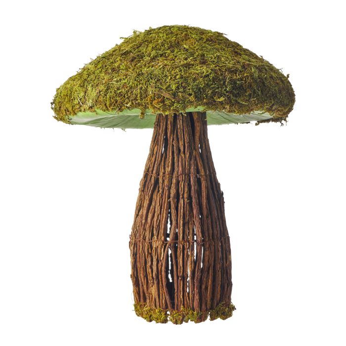 Moss and Twig Mushroom