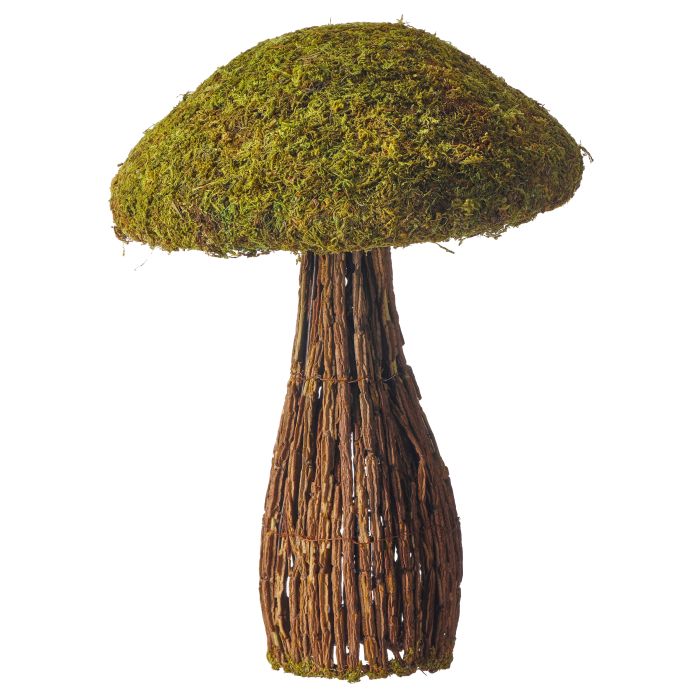 Moss and Twig Mushroom