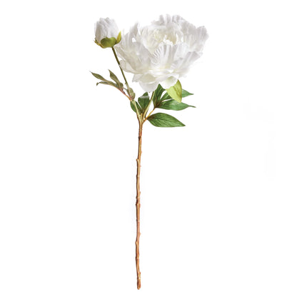 Peony Stem- White