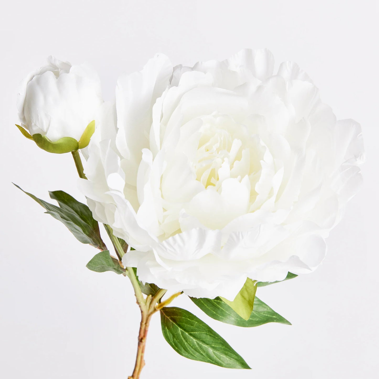 Peony Stem- White