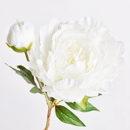 Peony Stem- White