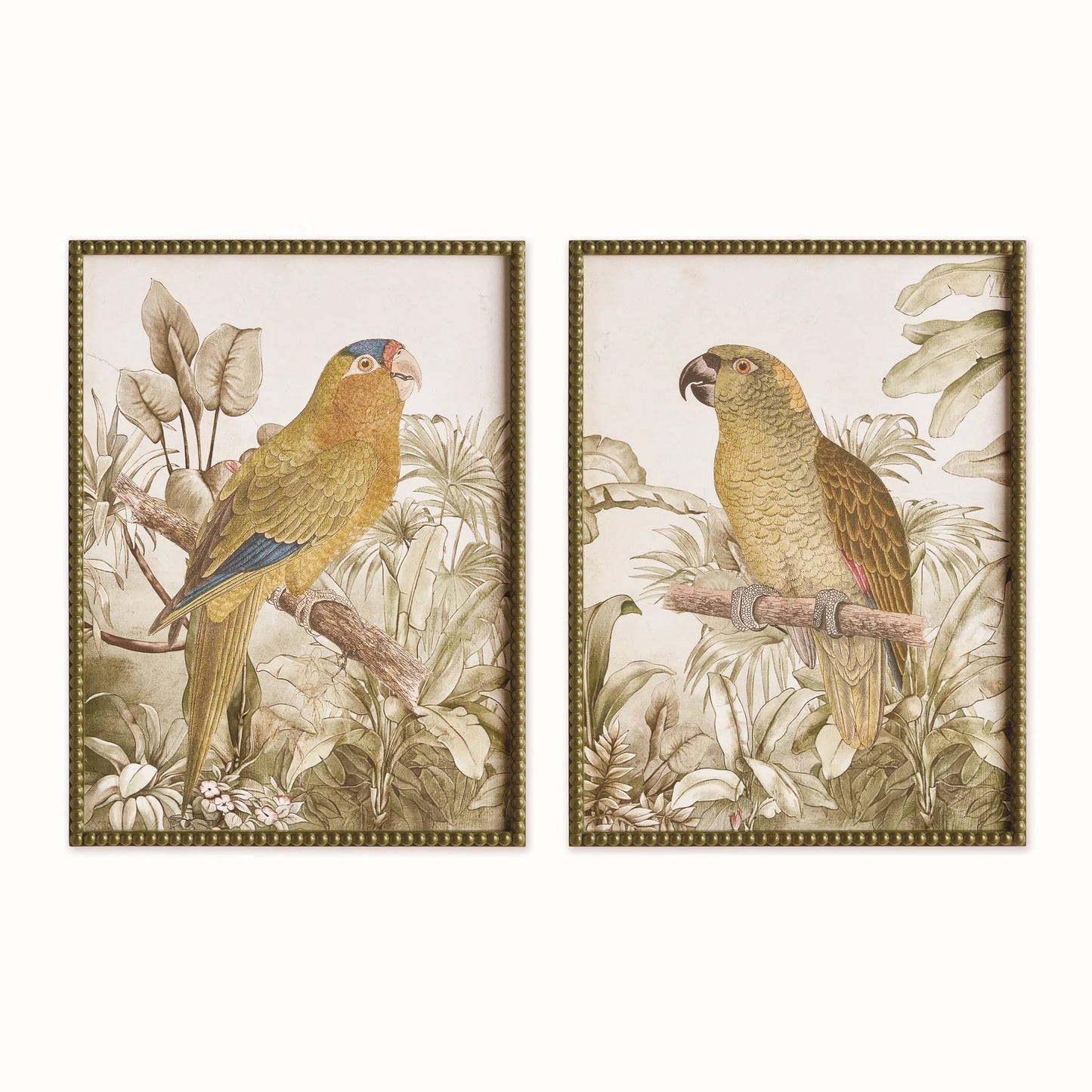 Tropical Parrot Prints S/2