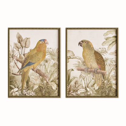 Tropical Parrot Prints S/2
