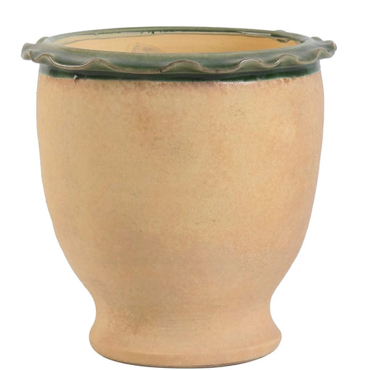 Patisserie Pot- Basil