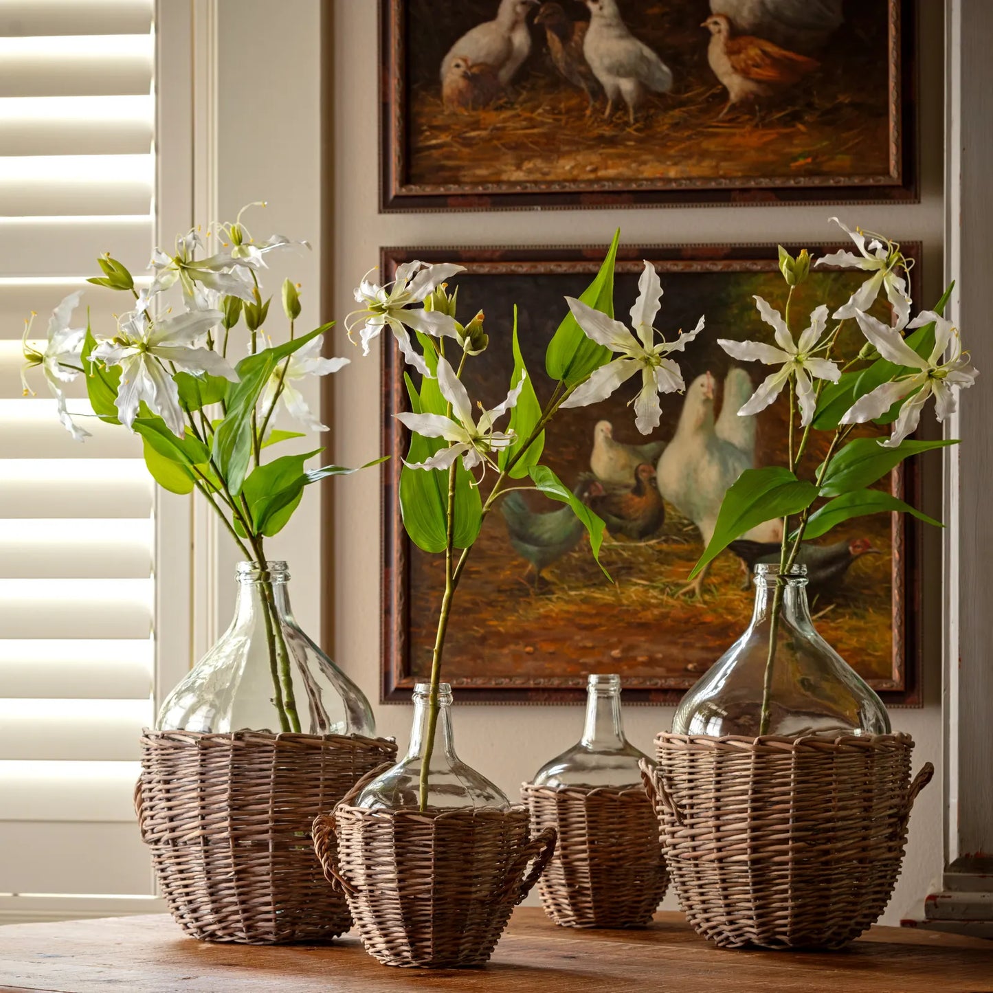Gloriosa Lily White