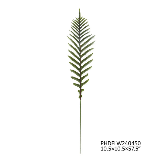 Dark Green Ostrich Fern