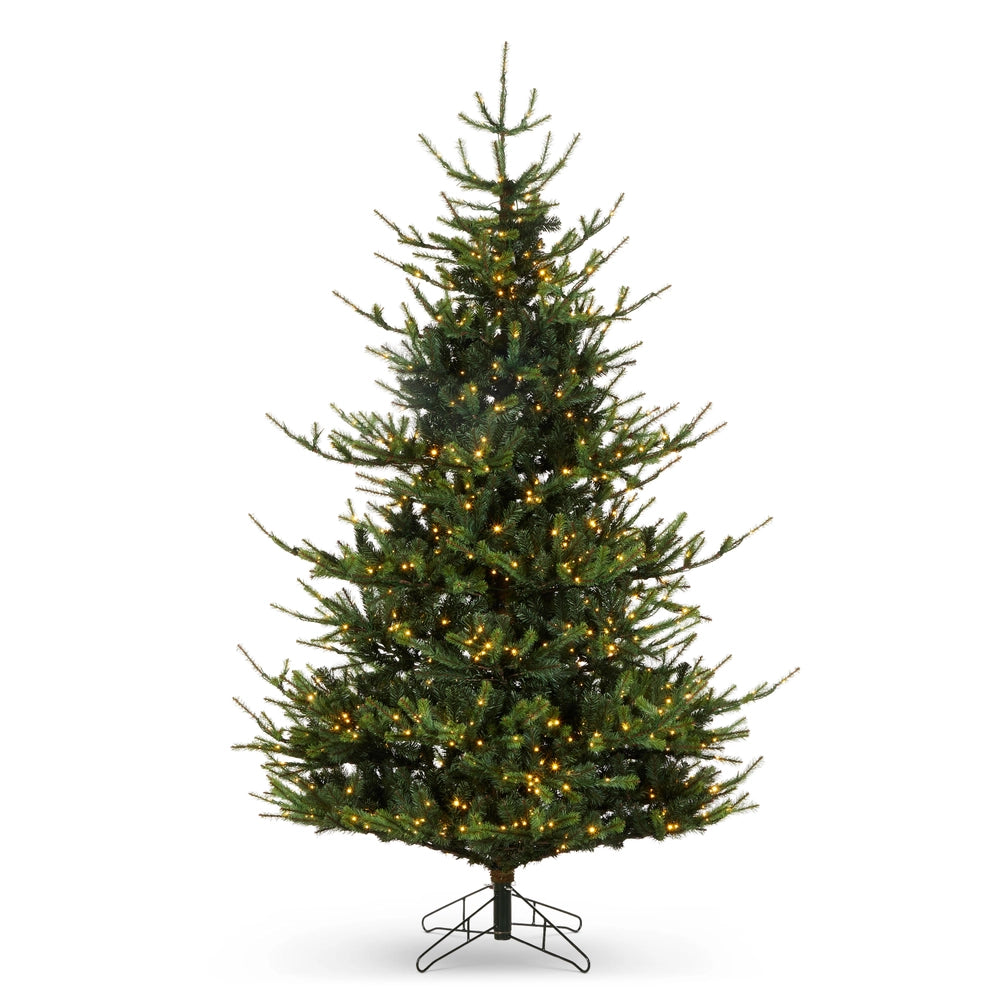 Pre-Lit Deluxe Rocky Mountain Spruce Tree