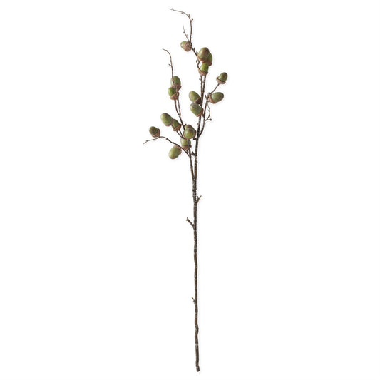 Green Acorn Stem
