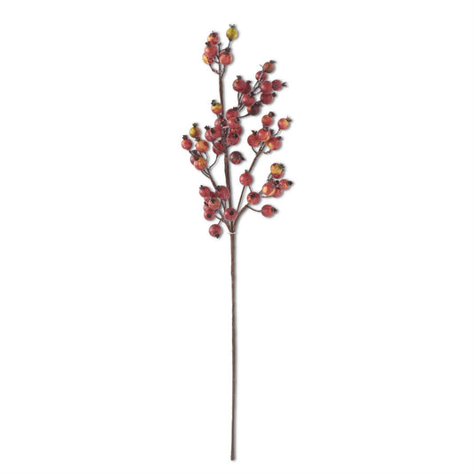 Crab Apple Stem