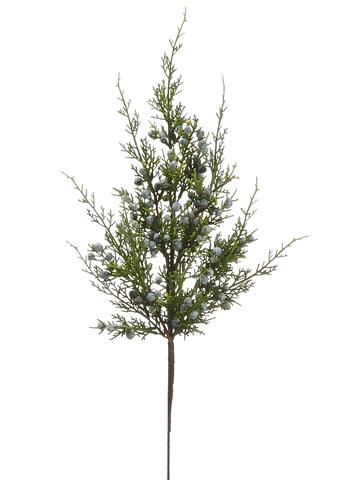 Juniper Spray