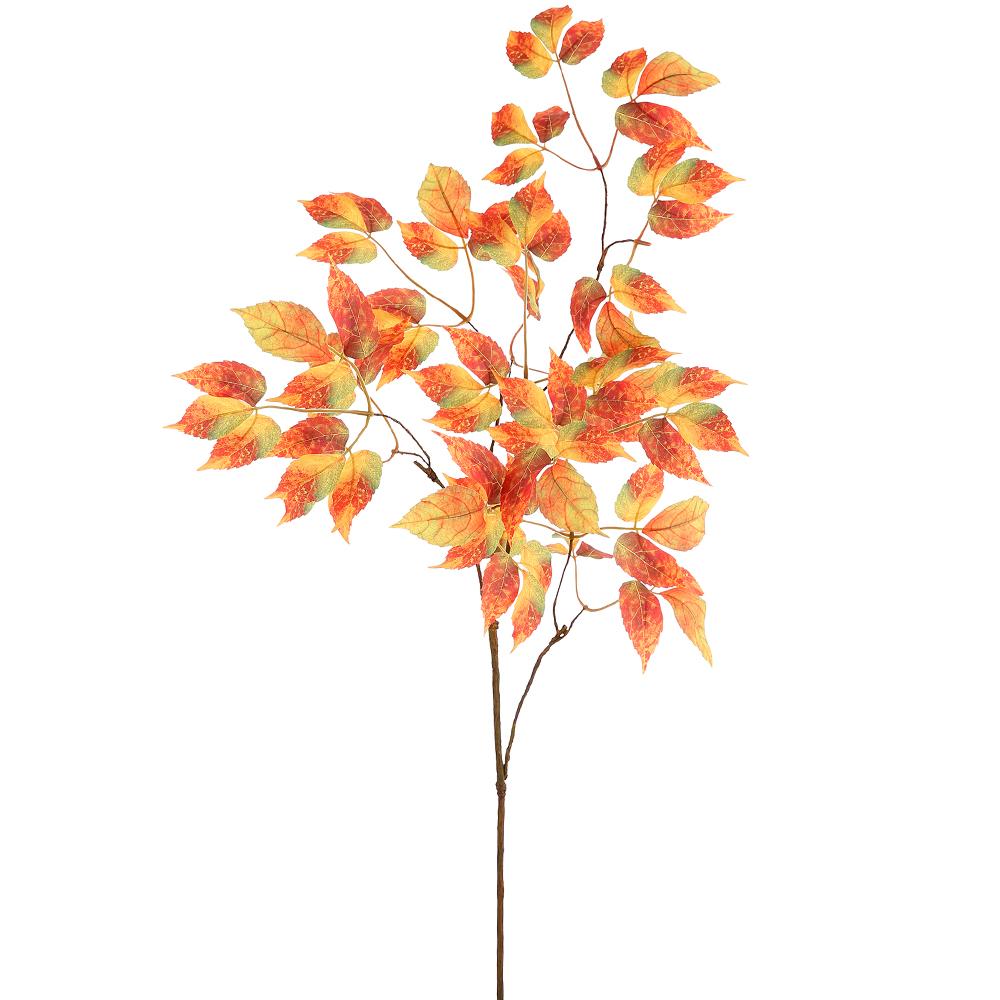 Virginia Creeper Leaf Spray Orange/Rust