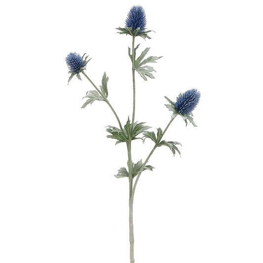 Thistle Spray