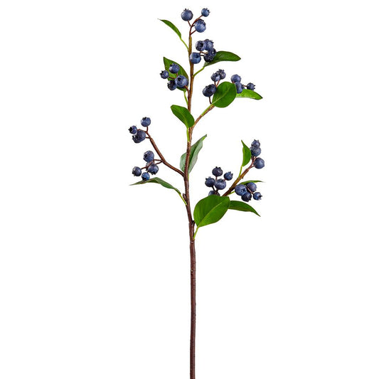 Blueberry Spray