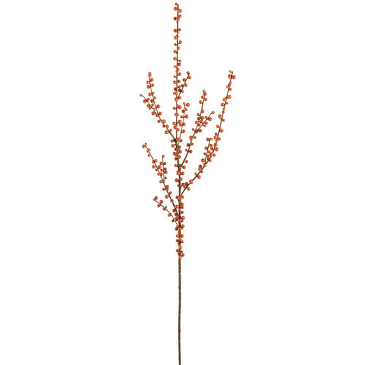 Orange Berry Spray